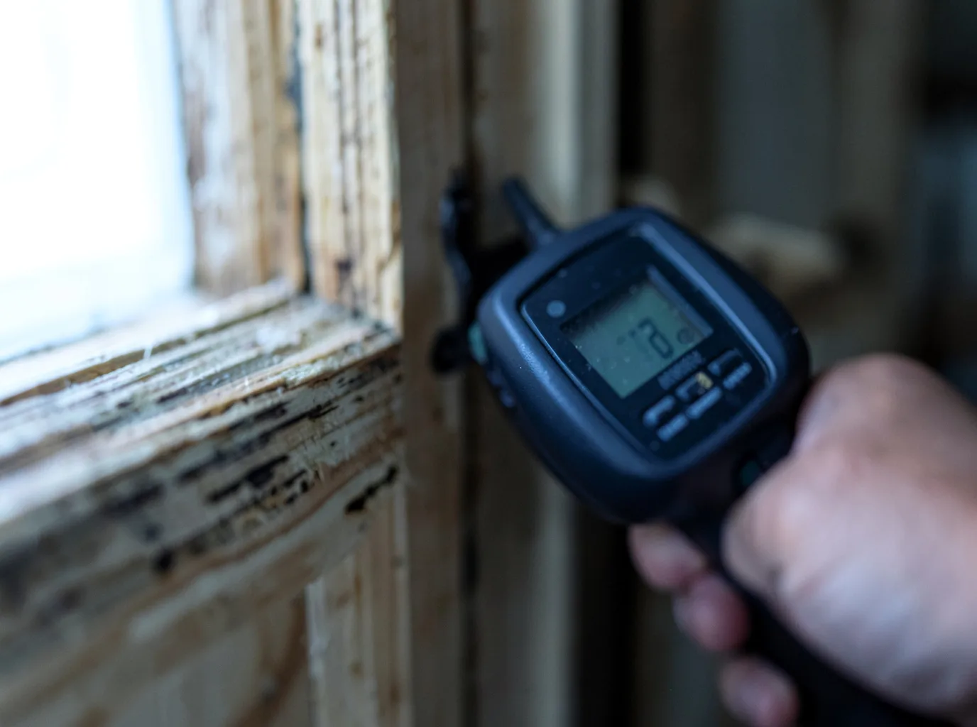 Moisture Inspection And Documentation in Scales Mound, IL
